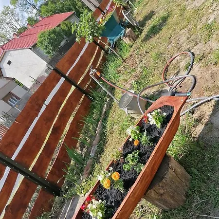 Apartament Berkenyes Vendeghaz