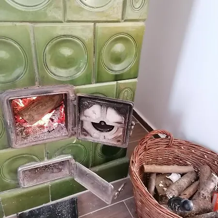 Berkenyés