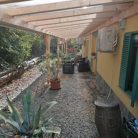 Berkenyés
