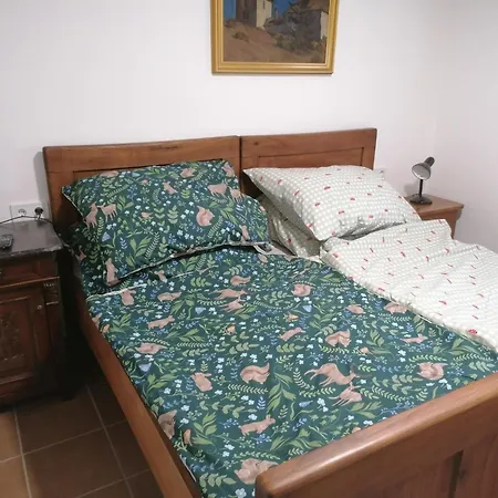 Berkenyes Vendeghaz * Zalalövő